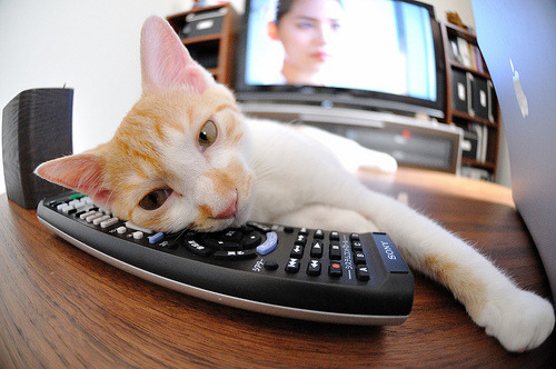 “中国足球国际合作项目全面铺开”，中国足球国际队