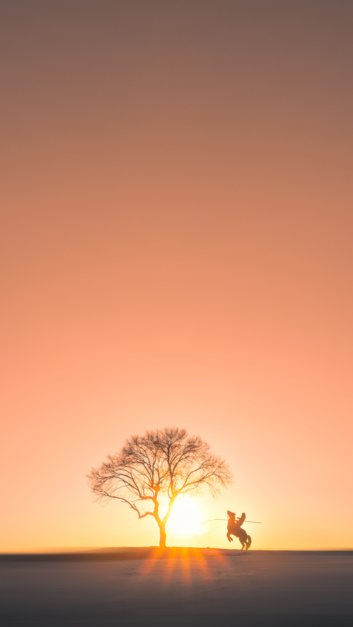中国复合弓男队在射箭世界杯上海站团体赛中表现出色，复合弓比赛项目