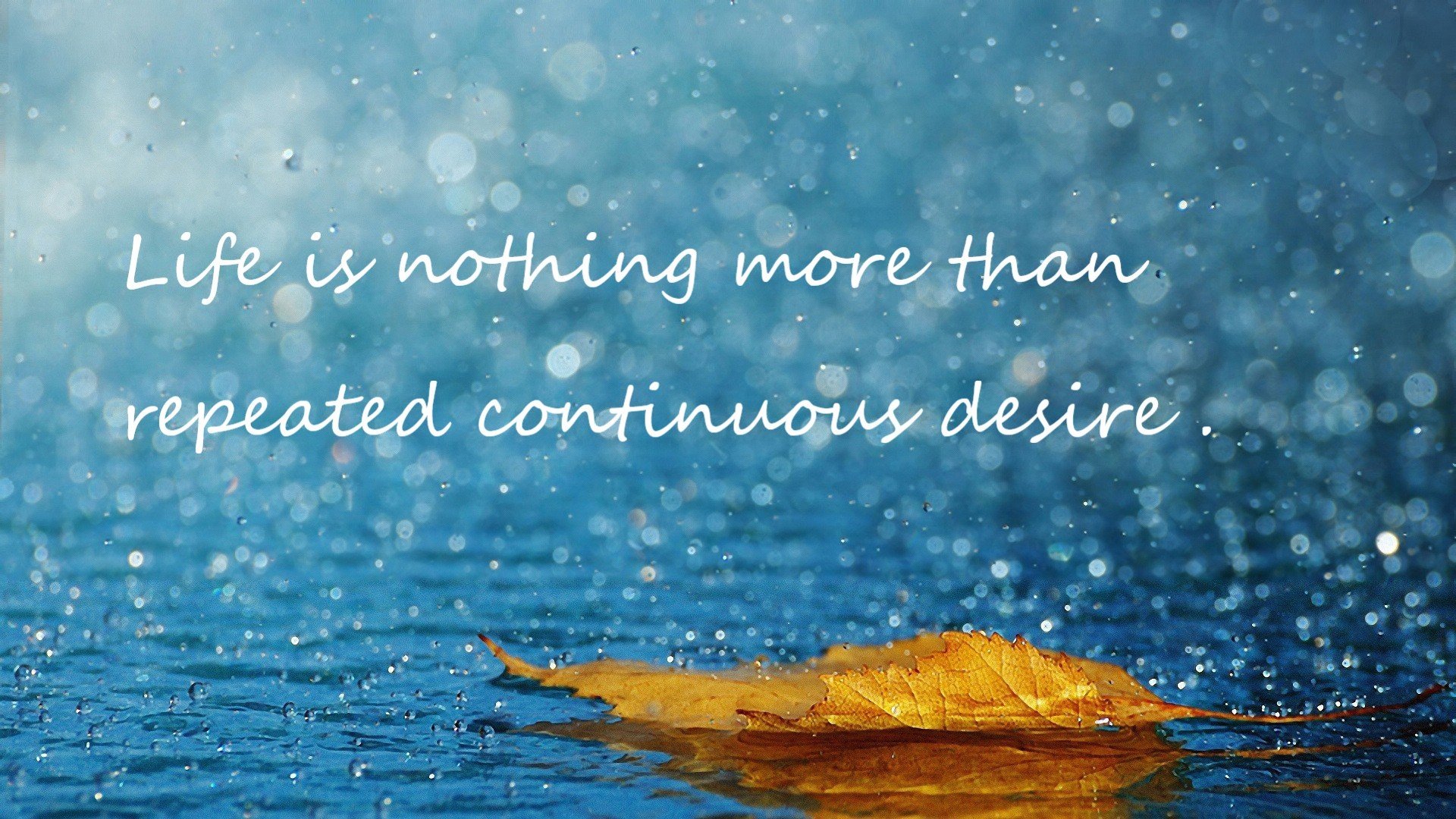 开云下载-德甲比赛，数据解读防守体系调整的细节和效果，德甲打法