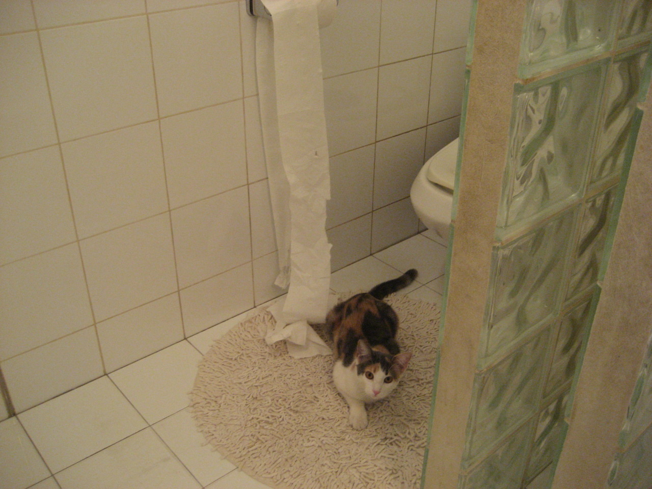 开云娱乐app安全登录-法甲：蒙彼利埃1-0击败卡昂，守门员表现抢眼，蒙彼利埃主帅