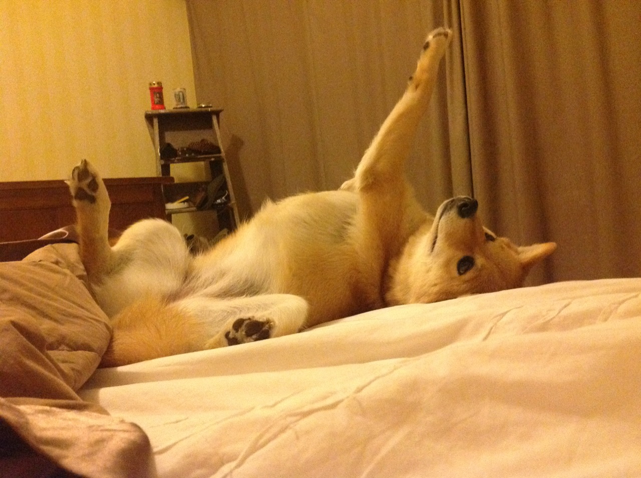 开云体育APP-电竞篮球：虚拟与真实的精彩融合，电竞篮球现场赛