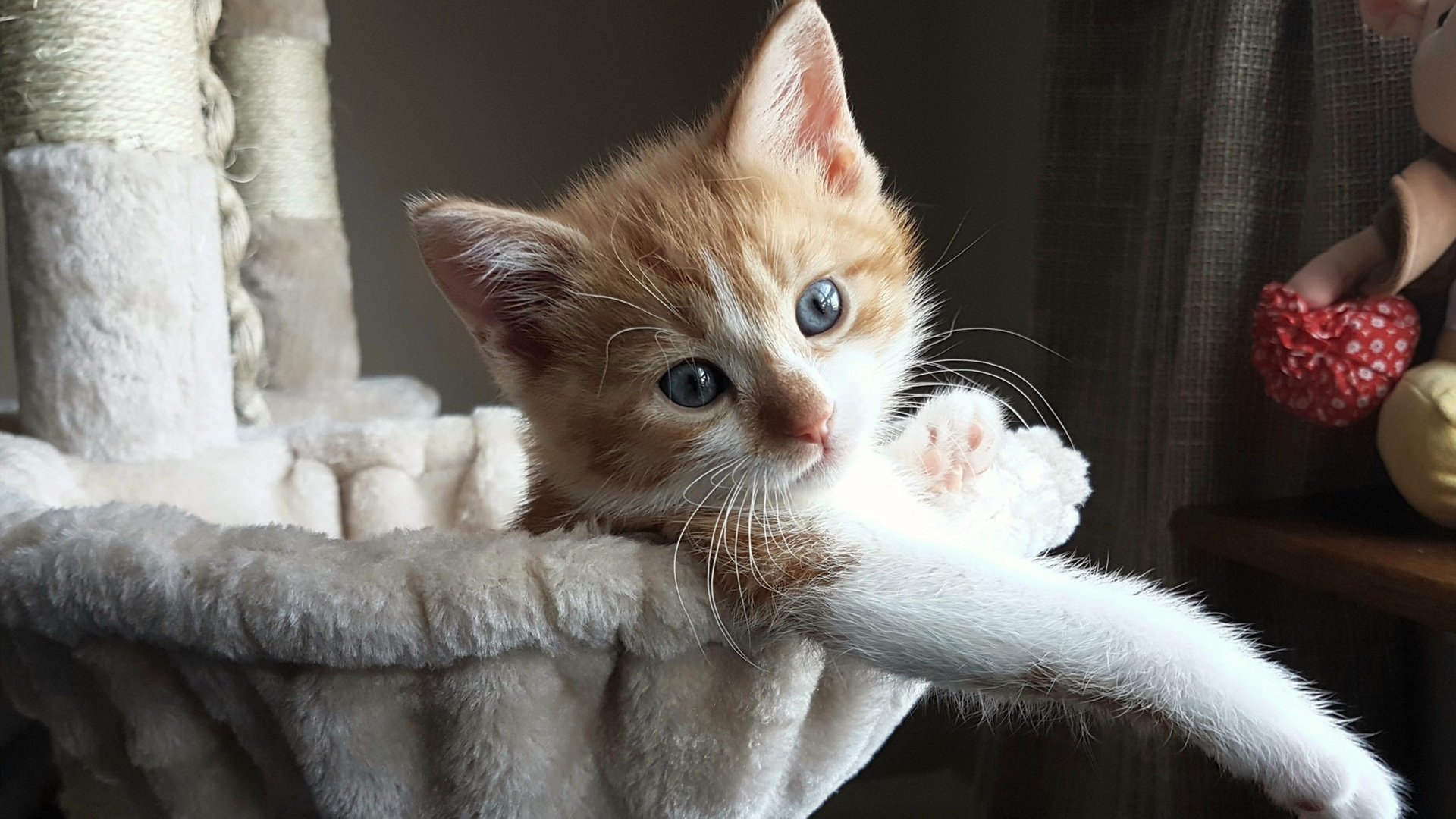 开云下载-中国队在巴黎奥运会比赛中展现出快速反击战术，奥运会中国队对巴西队