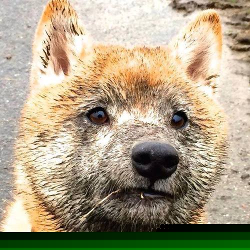 Kysports-意外田径赛道湿滑致多人摔倒，田径比赛失误集锦