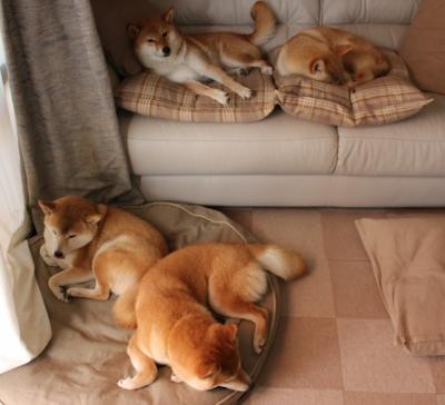 开云体育下载网页版-数据平台建设是否推动了俱乐部精细化运营，数据平台建设是否推动了俱乐部精细化运营