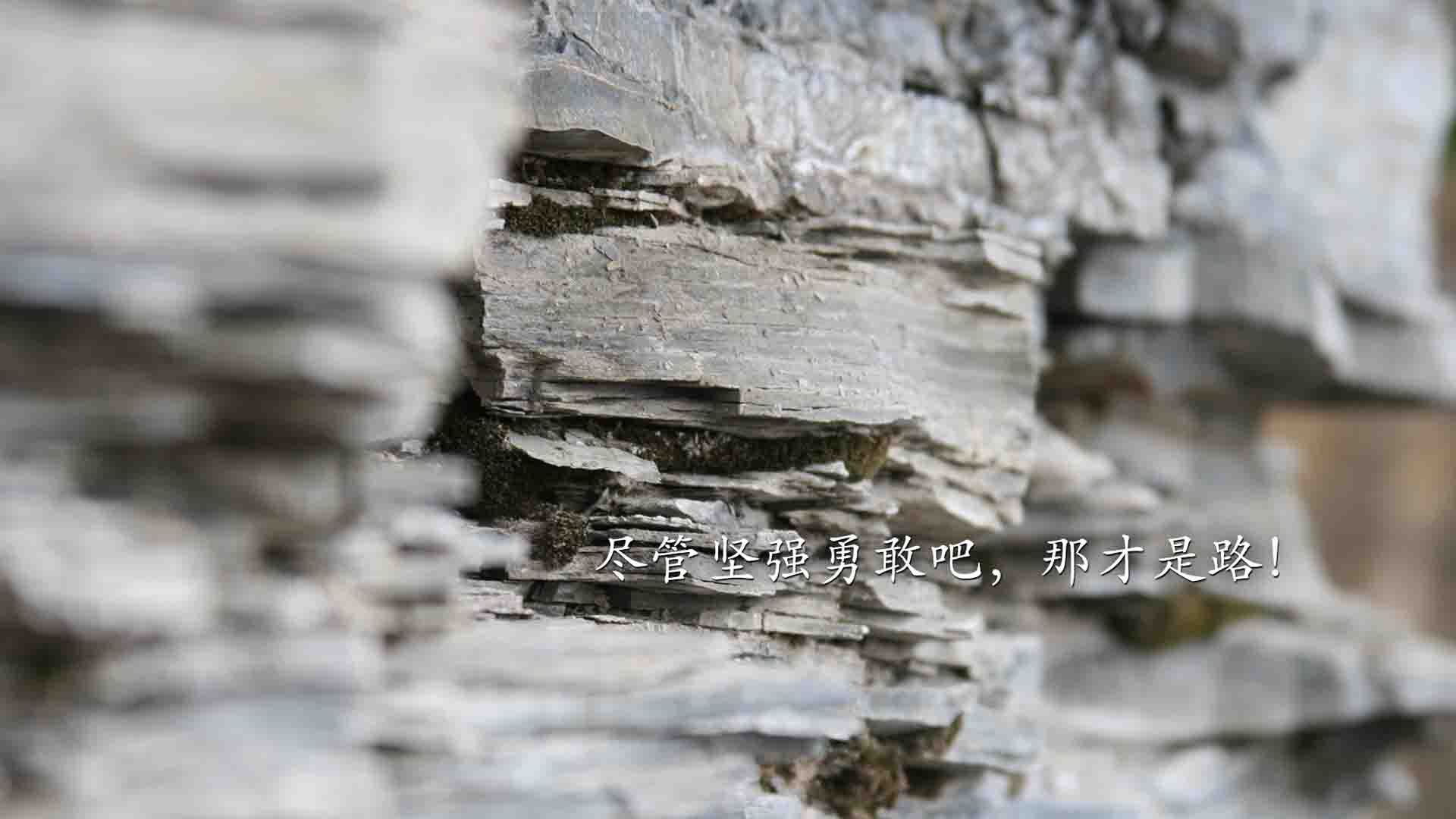 -普利茅斯主场斩获胜利，迎来本赛季首胜，球队士气大增，普利茅斯superbird