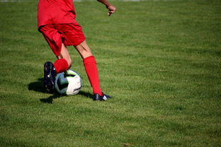 Kysports-中国篮球职业联赛俱乐部青训体系建设与实践探索，篮球青年训练营