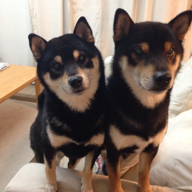 开云体育下载入口-逆袭之路：弱旅逆转强队实现奇迹，逆袭之旅游戏攻略